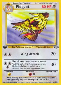 Pidgeot, Jungle 24/64