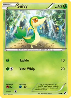 Snivy, Black & White 1/114