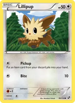 Lillipup, Black & White 80/114