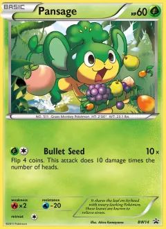 Pansage, BW Black Star Promos BW14/101