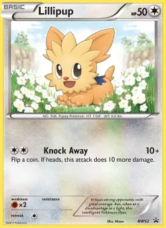 Lillipup, BW Black Star Promos BW52/101