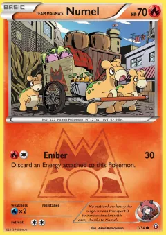 Team Magma's Numel, Double Crisis 1/34