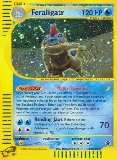 Feraligatr, Expedition Base Set 12/165