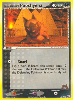 Team Magma's Poochyena, Team Magma vs Team Aqua 65/95