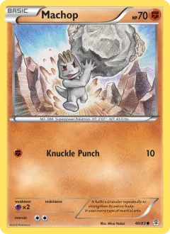 Machop, Generations 40/83