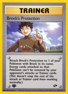 Brock's Protection, Gym Challenge 101/132