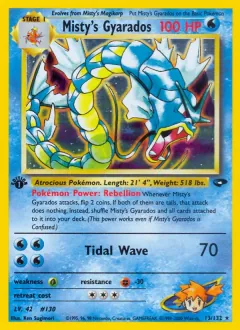 Misty's Gyarados, Gym Challenge 13/132