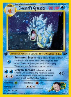 Giovanni's Gyarados, Gym Challenge 5/132