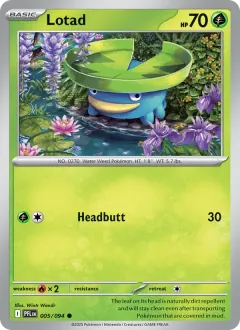 Lotad, Phantasmal Flames 005/94