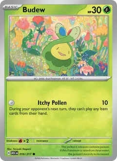 Budew, Ascended Heroes 016/217