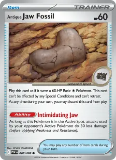 Antique Jaw Fossil, Perfect Order 068/88