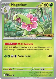 Meganium, MEP Black Star Promos 001