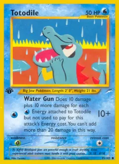 Totodile, Neo Destiny 85/105