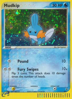 Mudkip, Nintendo Black Star Promos 5/40