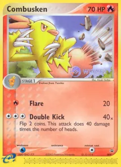 Combusken, Nintendo Black Star Promos 9/40