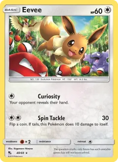 Eevee, Hidden Fates 48/68