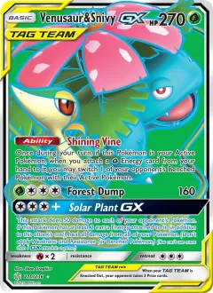 Venusaur & Snivy GX, Cosmic Eclipse 210/236