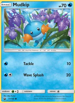 Mudkip, Celestial Storm 33/168