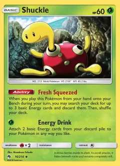 Shuckle, Lost Thunder 16/214