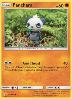 Pancham, Team Up 81/181