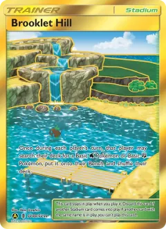 Brooklet Hill, Hidden Fates Shiny Vault SV88/94