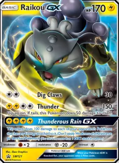 Raikou GX, SM Black Star Promos SM121/248