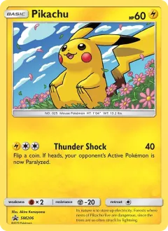 Pikachu, SM Black Star Promos SM206/248