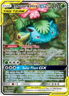 Venusaur & Snivy GX, SM Black Star Promos SM229/248