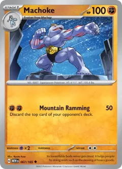 Machoke, 151 067/165