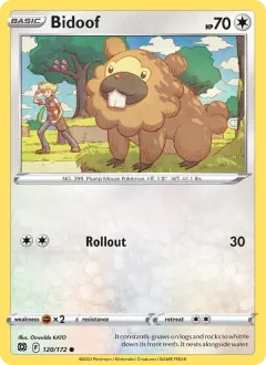 Bidoof, Brilliant Stars 120/172