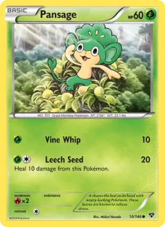 Pansage, XY 10/146