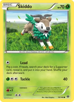 Skiddo, XY 18/146