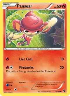 Pansear, XY 22/146
