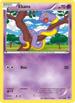 Ekans, XY 47/146