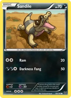 Sandile, XY 69/146