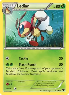 Ledian, XY 7/146