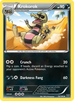 Krokorok, XY 70/146