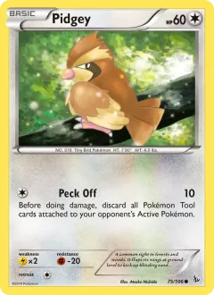Pidgey, Flashfire 75/106