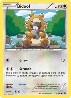 Bidoof, Primal Clash 116/160