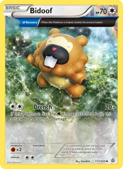 Bidoof, Primal Clash 117/160