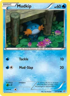 Mudkip, Primal Clash 33/160