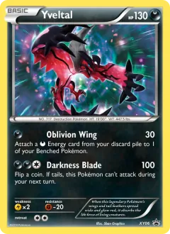 Yveltal, XY Black Star Promos XY06/211