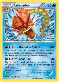 Gyarados, XY Black Star Promos XY109/211