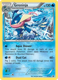 Greninja, XY Black Star Promos XY162/211