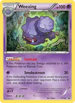 Weezing, XY Black Star Promos XY163/211