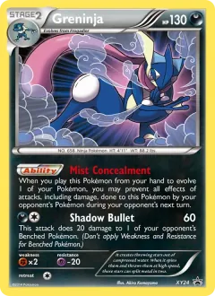Greninja, XY Black Star Promos XY24/211