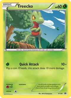 Treecko, XY Black Star Promos XY36/211