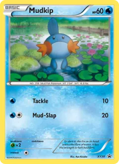 Mudkip, XY Black Star Promos XY38/211
