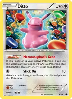 Ditto, XY Black Star Promos XY40/211