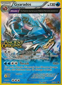Gyarados, XY Black Star Promos XY60/211